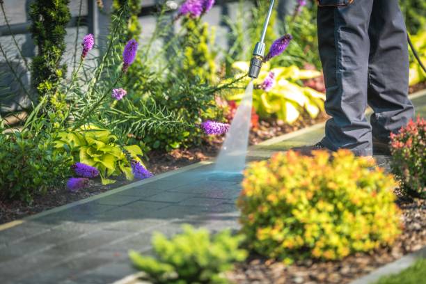 Best Sidewalk and Walkway Cleaning  in Andrews, IN